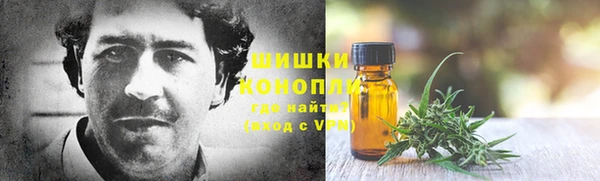 соль ск Белокуриха