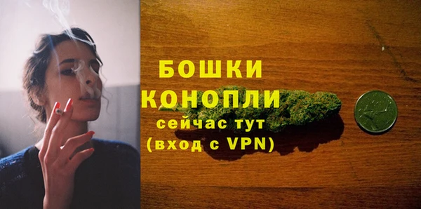 соль ск Белокуриха
