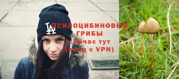 соль ск Белокуриха
