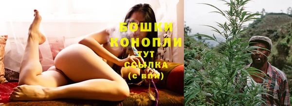 соль ск Белокуриха
