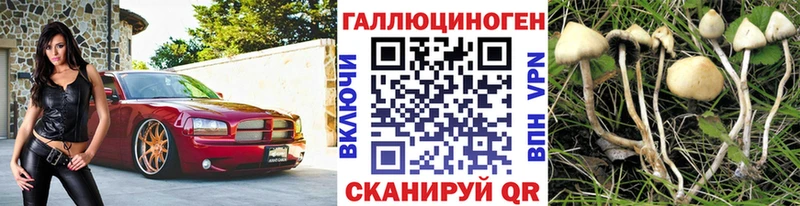 наркотики  Армавир  Галлюциногенные грибы MAGIC MUSHROOMS 