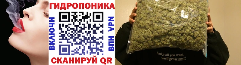 Шишки марихуана план  Армавир 